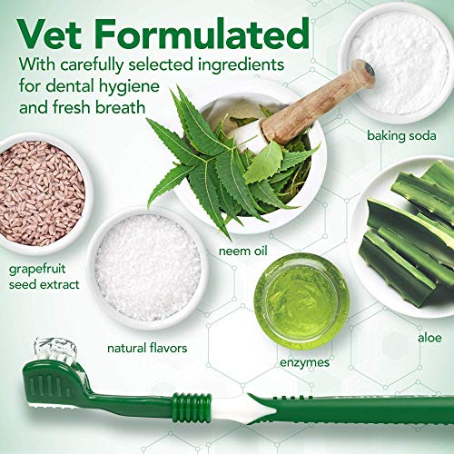 Vet's Best Kit de Cuidado Dental para Perros, Pasta Dental y Cepillo de Dientes, Combate la Placa enzimática y sarro