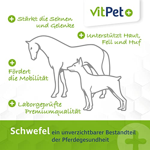 VitPet+ MSM Pferd – Polvo premium MSM para caballos en cubo de 1,8 kg con cuchara dosificadora (polvo de metilsulfonilmetano/azufre para caballos y perros)