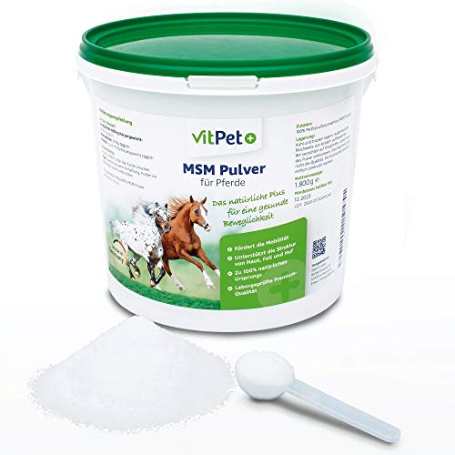 VitPet+ MSM Pferd – Polvo premium MSM para caballos en cubo de 1,8 kg con cuchara dosificadora (polvo de metilsulfonilmetano/azufre para caballos y perros)