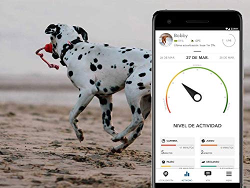 Vodafone Kippy EVO - Monitor de Actividad para Perros y Gatos, con rastreador GPS y Seguimiento de Las Actividades y del Estado de Salud, con Tarjeta SIM Inteligente incluida, Verde