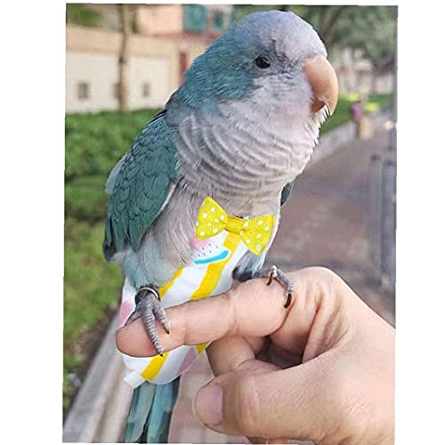 VusiElag 1 unids Pet PIERD PIERT PIOR Lavable Pañal Nappies Reutilizables Heces Pockpies de Bolsillo para Parrot Pigenas Macaw Budgie Cockatiel Sandía S