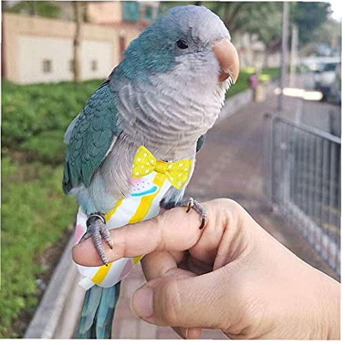 VusiElag 1 unids Pet PIERD PIERT PIOR Lavable Pañal Nappies Reutilizables Heces Pockpies de Bolsillo para Parrot Pigenas Macaw Budgie Cockatiel Sandía S