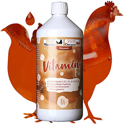 WachtelGold Vitamina Fit 1000 ml - Complemento alimenticio líquido para codornices, pollo y aves ornamentales