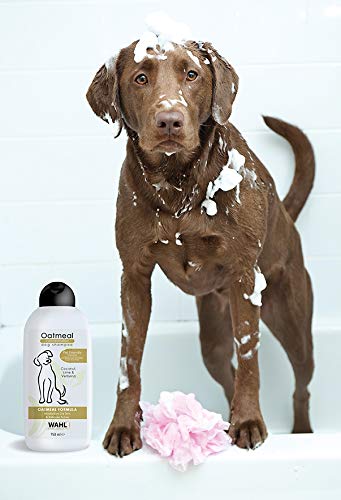 WAHL Champú para Perros Oatmeal 3999-7040, 750 ml