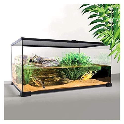 WANGQW Tanque de Anfibios, Oficina Reptil Terrario Vivari Vivarium Anfibio acuático terrario, Tienda de Mascotas exhibición Selva Tropical invertebrados, CAGO de camaleón arbóreo, casa de Mascotas