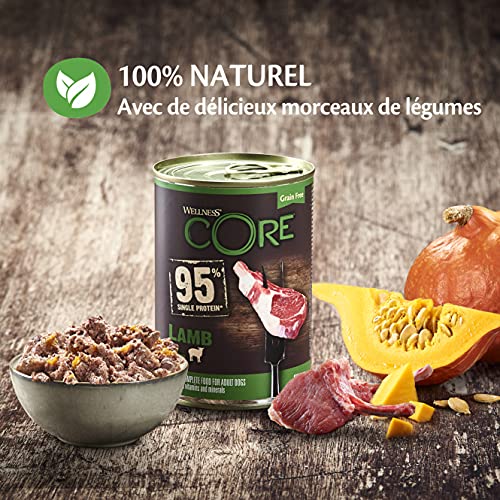 Wellness CORE 95% Grapa de Comida para Perro mojada y una Sola proteína de Cordero con Calabaza, 400 g, Paquete de 6