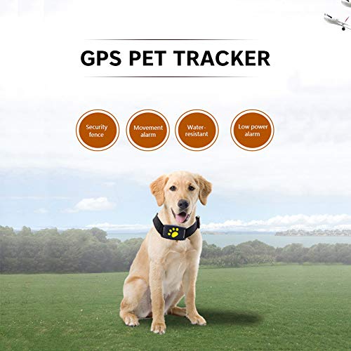 WFGF Rastreador de Mascotas - Collar Inteligente para Perros y Gatos con GPS - Cerca inalámbrica Collar para Perros y Gatos con GPS Control Remoto Impermeable Recargable con 2 Bolas de Arco Iris