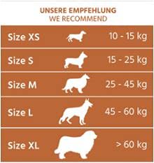 Wildfang® Asta de Ciervo para Perros I Hueso Natural para Masticar - Cuidado Dental - Ejercicio para la mandíbula - Juguete de Perro I Palo Duradero de Cornamenta de Ciervo desprendida SIN aditivos