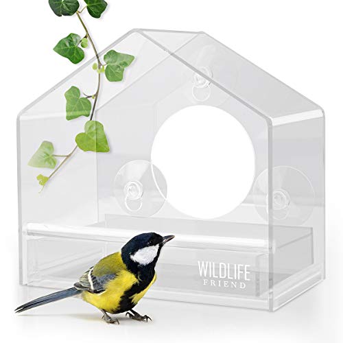 WILDLIFE FRIEND I Comedero Exterior para Aves, Pájaros - Transparente - de Ventana, Compartimento de Forro Adicional I Alimentador Comederos para Aves [Flexi]