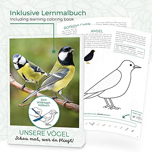 WILDLIFE FRIEND I Pajarera Piepmatz – Oasis para pájaros con Libro de Aprendizaje [Libro electrónico], Soporte para Bolas de pájaro y Bebedero para Aves Silvestres