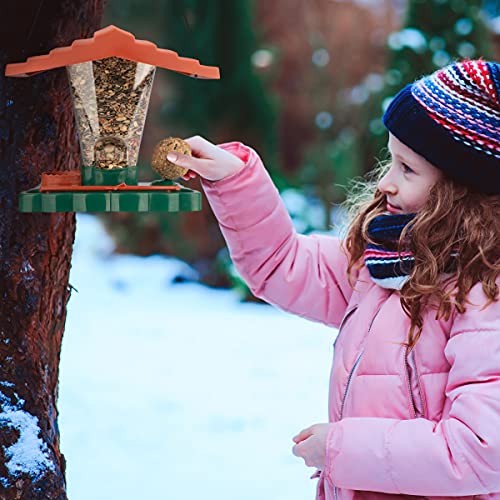 WILDLIFE FRIEND I Pajarera Piepmatz – Oasis para pájaros con Libro de Aprendizaje [Libro electrónico], Soporte para Bolas de pájaro y Bebedero para Aves Silvestres