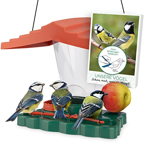 WILDLIFE FRIEND I Pajarera Piepmatz – Oasis para pájaros con Libro de Aprendizaje [Libro electrónico], Soporte para Bolas de pájaro y Bebedero para Aves Silvestres