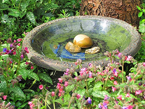 Wildlife World Bird Bath Nuevo diseño Coniston baño para pájaros (Tallo Giratorio), Verde