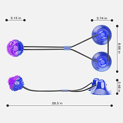 WingFly Juguetes para Perros, Juguete de Mordida Multifunción para Mordedura para Mascotas, Pelota Perro Pelota De Goma, Juegos Interactivos con Doble Ventosa para Perros Pequeños Medianos (púrpura)
