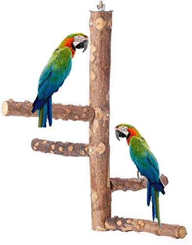 Wonninek pájaro hábitat Loro Actividad de Madera Natural Rama Soporte mordedura Juguete Natural Jaula de pájaros Plataforma Juguete para Mascotas Patio de Juegos Ejercicio Jugar pequeño