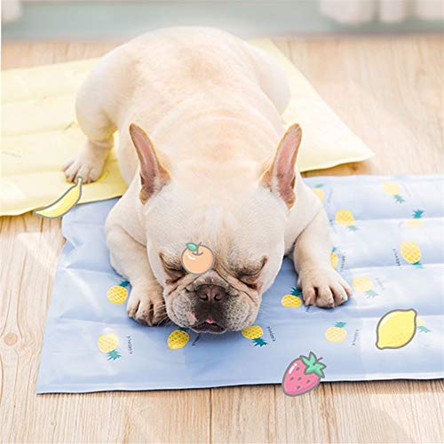 WPCASE Cama Perro Refrescante Manta Frio Perro Cama Refrigerante Perro para Animal DoméStico Colchoneta Transpirable para Dormir Manta Frio para Perro Y Gato Pineapple-s