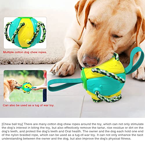 WQLP Frisbee Disc Football - Juguete masticable para Perros, Utilizado para Masticar agresivamente, Limpiar los Dientes, Adecuado para Varios Tipos de Juguetes interactivos para Perros