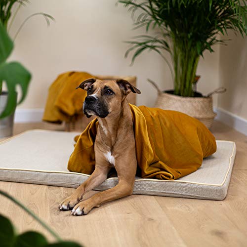 WUFY Tito - Manta terapéutica para perro, edredón para mascotas de compañía, antiestrés, muy suave, lavable, cama para perro y gato mostaza, 3 kg, 100 x 75 cm