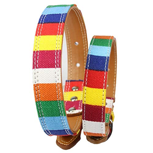 Wuwei Collar de Piel para Perro, Colorido Arco Iris, Ajustable, un Regalo para Tus Perros