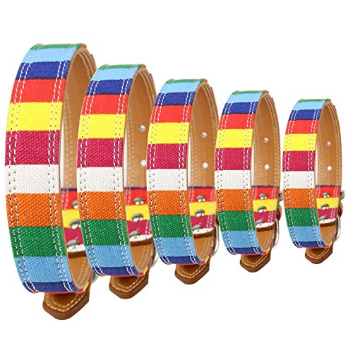 Wuwei Collar de Piel para Perro, Colorido Arco Iris, Ajustable, un Regalo para Tus Perros