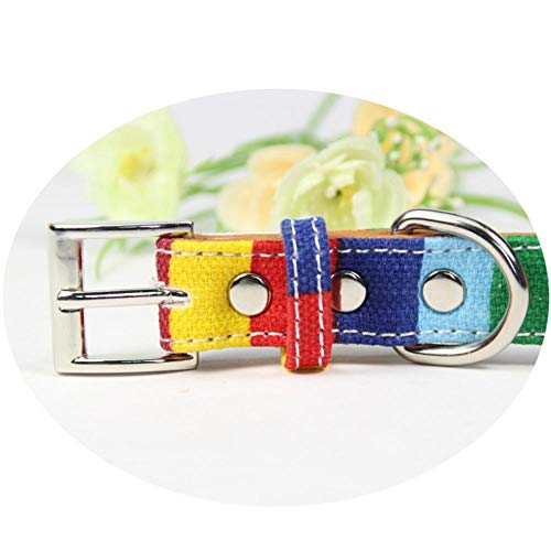 Wuwei Collar de Piel para Perro, Colorido Arco Iris, Ajustable, un Regalo para Tus Perros