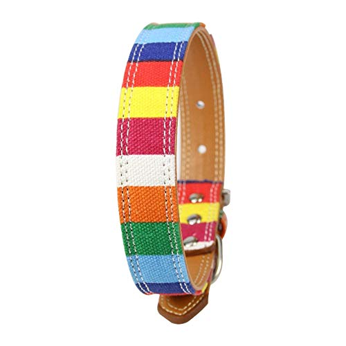 Wuwei Collar de Piel para Perro, Colorido Arco Iris, Ajustable, un Regalo para Tus Perros