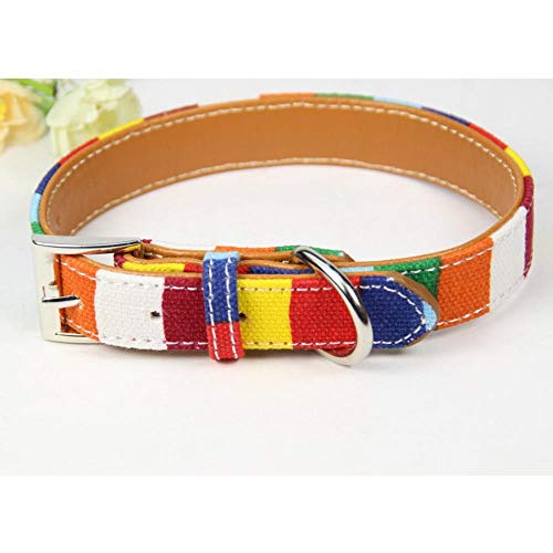 Wuwei Collar de Piel para Perro, Colorido Arco Iris, Ajustable, un Regalo para Tus Perros