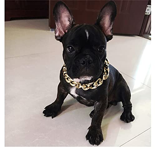 XIAOLANMEI Collar Perro pequeño Pet Perro CAGA CAGA Collar por Puppy COLLARE Personalizado Bulldogs Bully Cadena de Oro Potente plástico Ajuste para Perros Joyas Accesorios para Mascotas