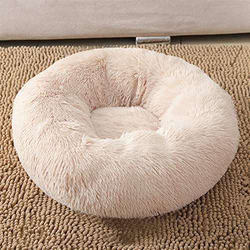 XJHKG Cama para Perros Perrera para Mascotas Saco De Dormir Redondo Tumbona Casa para Gatos Invierno Cálido Sofá Cesta Accesorios para Perros (Color : Apricot, Size : 40cm)