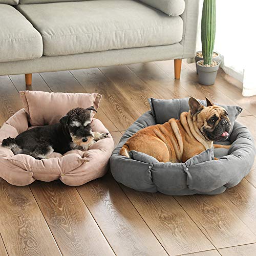 Xpnit Cama ortopédica 3 en 1 para perro, sofá y cojín, cojín plegable de lujo, lavable para perros, cama para perros pequeños y medianos (S, verde)