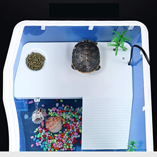 Xuejuanshop—Peceras Familia Grande Plástico Tanque de Peces Tortuga Mascota Caja de cría Tanque de Peces Tortuga Cilindro Azul (tamaño : XL)