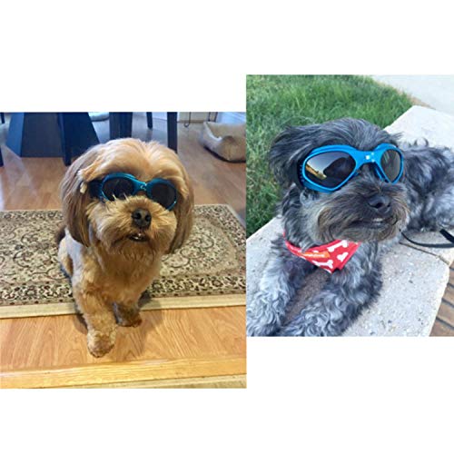 XUNKE Gafas de Sol para Perros, Perro Gafas para Perros pequeños y medianos Impermeable Plegable Protector Ocular Protección UV Antivaho (Azul)