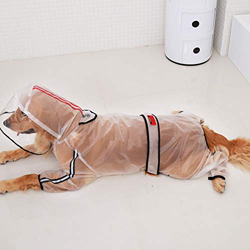 XXDYF Impermeables para Perros Mascotas Poncho con Capucha, Cachorro De Perro Mascotas Ligeras Transparente Capa para Perros Pequeños Y Medianos,3XL