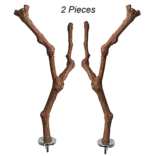 XYJJ 2 Piezas Soporte para Percha de Loro, Soporte Percha Loros Madera, Percha Pájaro Soporte Madera, Perchas Madera Soporte Loro, Soporte Percha Loros Madera, para Cacatúas Conures Guacamayos