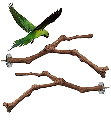 XYJJ 2 Piezas Soporte para Percha de Loro, Soporte Percha Loros Madera, Percha Pájaro Soporte Madera, Perchas Madera Soporte Loro, Soporte Percha Loros Madera, para Cacatúas Conures Guacamayos