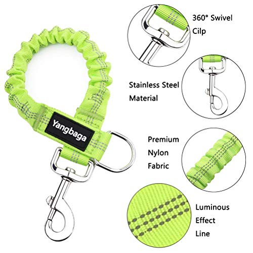 Yangbaga Correas para Mascotas Correas Elastic Stretch Nylon Leash Ideal para Caminar, Correr para Perros Pequeños a Cachorro (Verda)