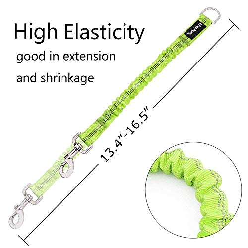 Yangbaga Correas para Mascotas Correas Elastic Stretch Nylon Leash Ideal para Caminar, Correr para Perros Pequeños a Cachorro (Verda)