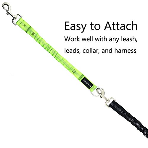 Yangbaga Correas para Mascotas Correas Elastic Stretch Nylon Leash Ideal para Caminar, Correr para Perros Pequeños a Cachorro (Verda)