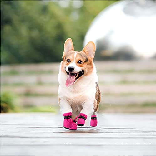 YAODHAOD Protector de Pata de Botas para Perros, Zapatos para Perros Antideslizantes, Estos Cómodos Zapatos Suave Tienen Correas Reflectantes, para Perros Pequeños (6, Rosado)