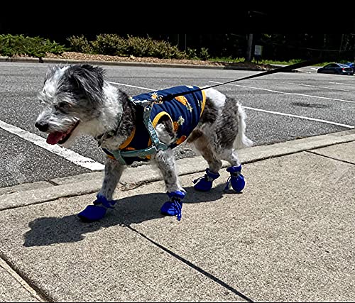 YAODHAOD Protector de Pata de Botas para Perros, Zapatos para Perros Antideslizantes, Estos Cómodos Zapatos Suave Tienen Correas Reflectantes, para Perros Pequeños (2, Azul)