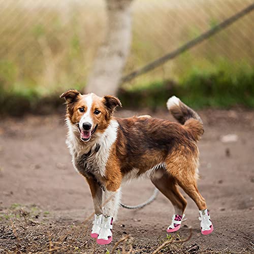 YAODHAOD Zapatos de Perro para Perros pequeños, Botas de Perro Protector de Patas, Zapatos Antideslizantes de Cuero para pavimento Caliente, Botas para Mascotas (4, Rosado)