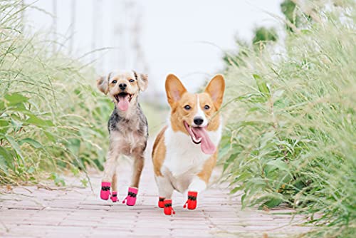 YAODHAOD Zapatos de Perro, Protectores de Patas de Perro, cálidos, cómodos, con Suela Suave, Antideslizantes, con Correas Reflectantes, para Perros pequeños (Tamaño 5: 4,8 x 3,8 cm, Rosado)