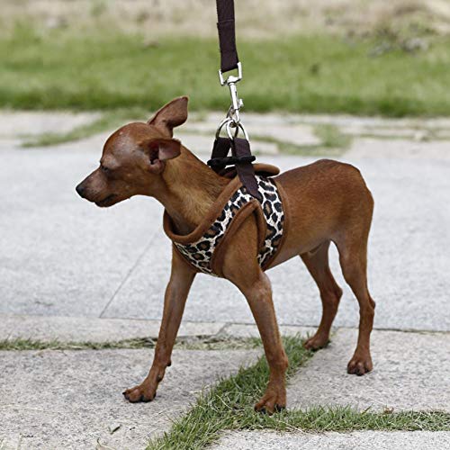 YIFEID Correa para Perro Arnés del Perro del Leopardo para Perros Pequeños Nylon Arnés Chaleco Arnés Yorkie Chihuahua Cachorro Permanente para Mascotas Correa Gato Pet Products,Leopardo,SG