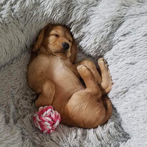 YINN Colchón de lujo para perro Labrador/Golden Retriever/Russell cojín de perro, gran piel sintética redonda calmante cama para mascotas, antiansiedad, sofá para cachorros