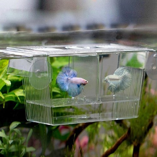 Yinong Caja para acuario para cría de peces, protege caja incubadora para cría multifunción con pipeta pasteur (20 x 10 x 10 cm)