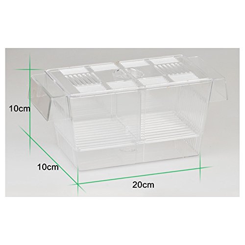 Yinong Caja para acuario para cría de peces, protege caja incubadora para cría multifunción con pipeta pasteur (20 x 10 x 10 cm)