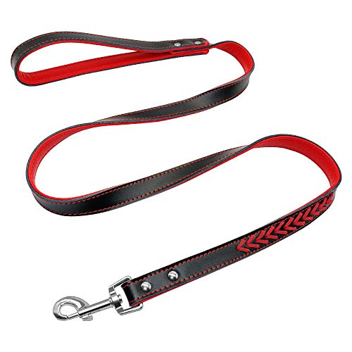 Yisatann Correa para Perros Collar para Collar y Correa de Cuero para Perros Juego de Collar de Gato Acolchado Interior Rojo para Gato Grabado Gratis-M