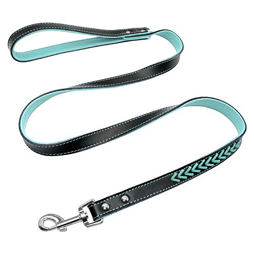 Yisatann Correa para Perros Collar para Juego de Collar y Correa de Cuero para Perro Collar de Gato Acolchado Interior para Perro Grabado Gratis-M