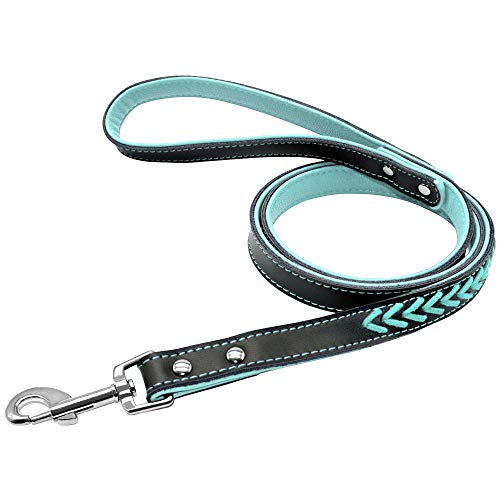 Yisatann Correa para Perros Collar para Juego de Collar y Correa de Cuero para Perro Collar de Gato Acolchado Interior para Perro Grabado Gratis-M