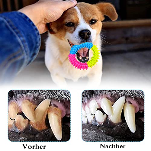 YISKY Puppy Chew Toys, 12 pcs Juguete Masticable, Juguetes para Masticar Cachorros, Limpieza de Dientes con Función de Cuidado Dental para Perro, Juguetes duraderos Molar para Mascotas